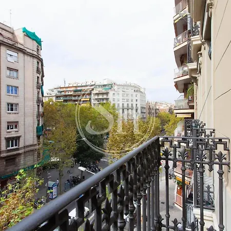 New Flat In Sant Antoni Barcelona